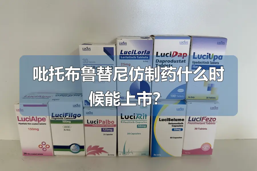 吡托布鲁替尼仿制药什么时候能上市？